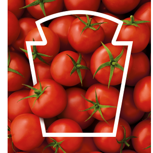 HEINZ, pomidorų kečupas TD, 800ml/910g 4
